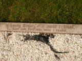 image of grave number 808886